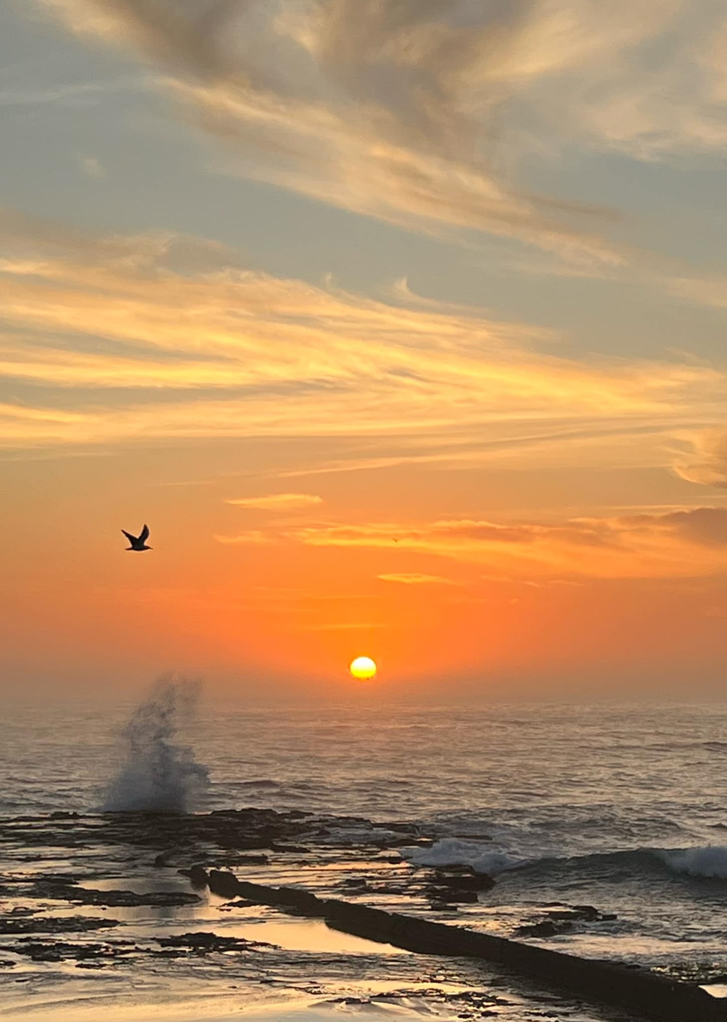 Severe Heatwave Weather Warning In Place For Eastern NSW As ...