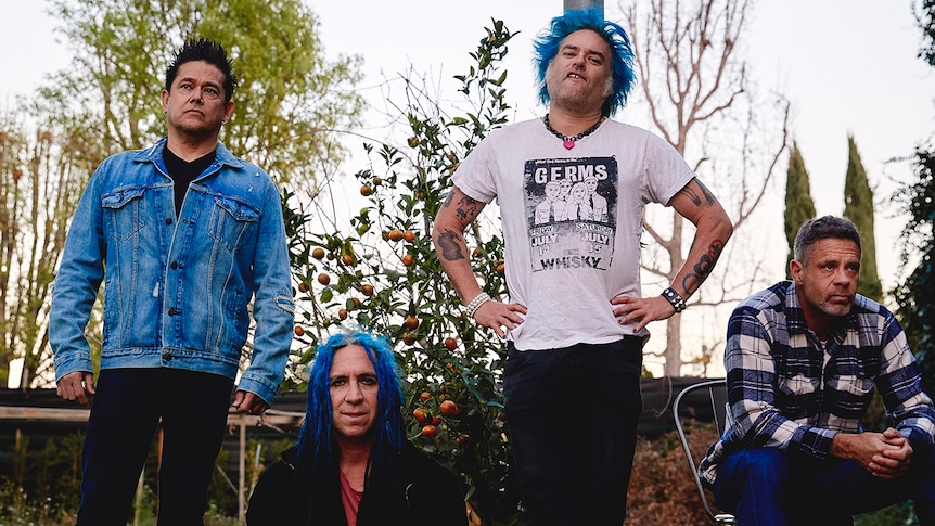Four members of NOFX pose in front of a citrus tree