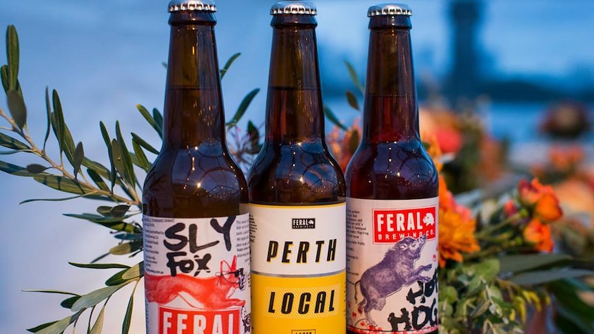 Three Feral Brewing Co. beers sit on a bar.