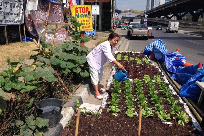 Bangkok protest garden