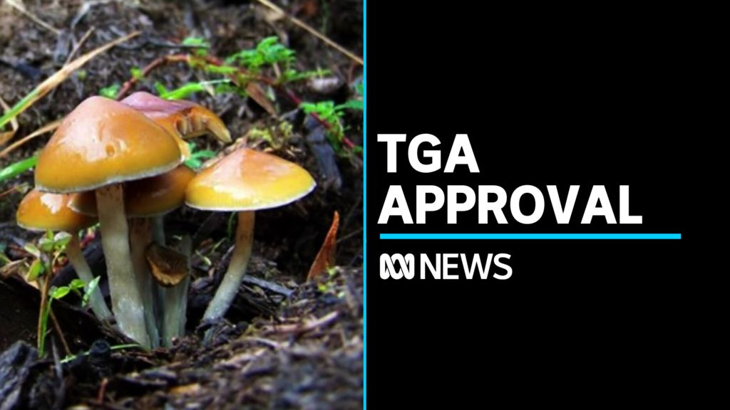 TGA Approves Use Of Psychedelics To Treat Mental Health - ABC News