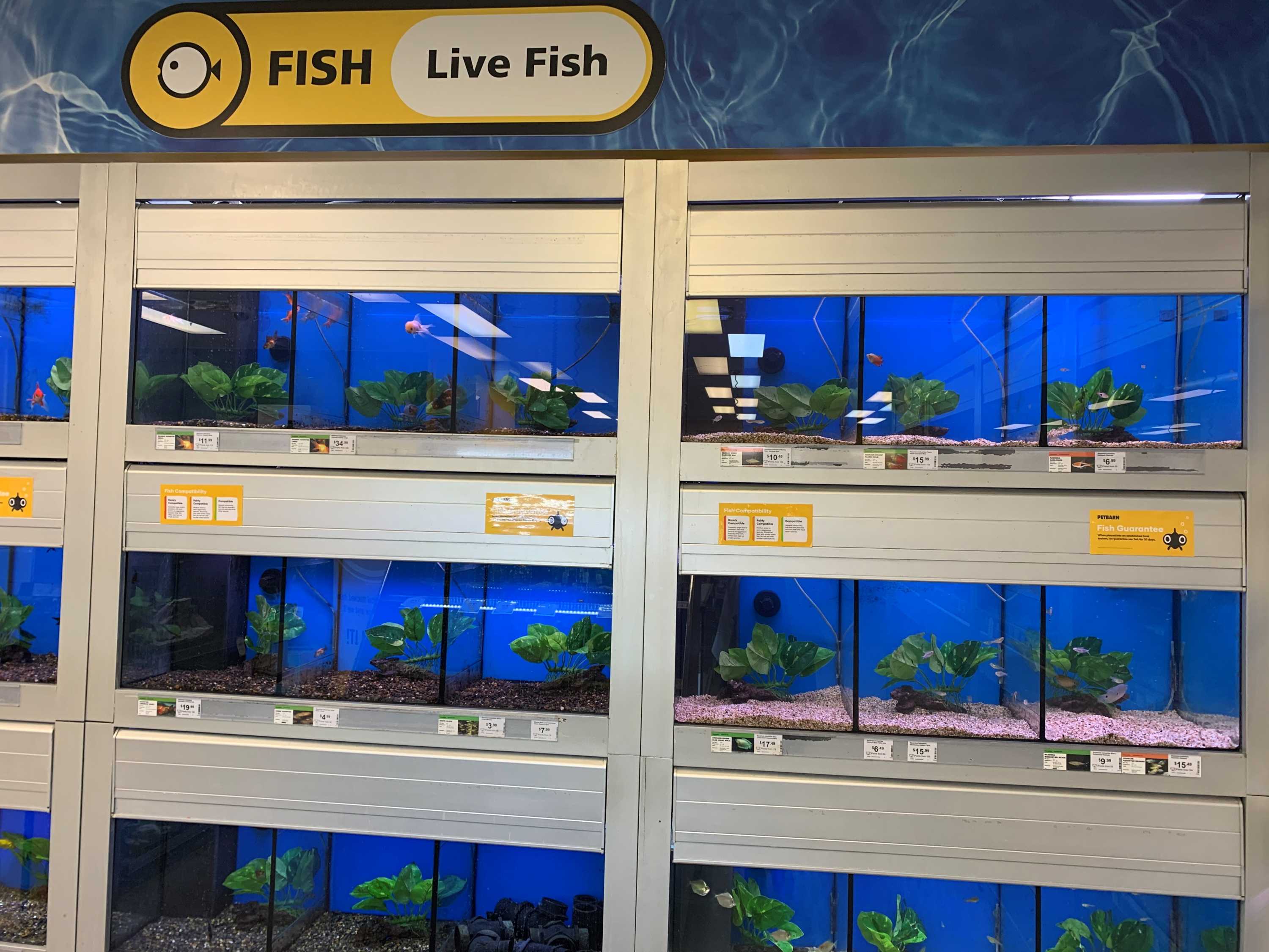 Amid the stories of business collapses, there are some winners during