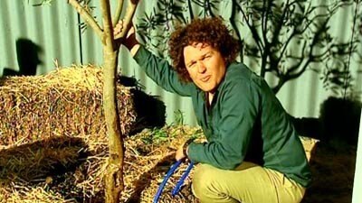 Transplanting a Tree - Gardening Australia