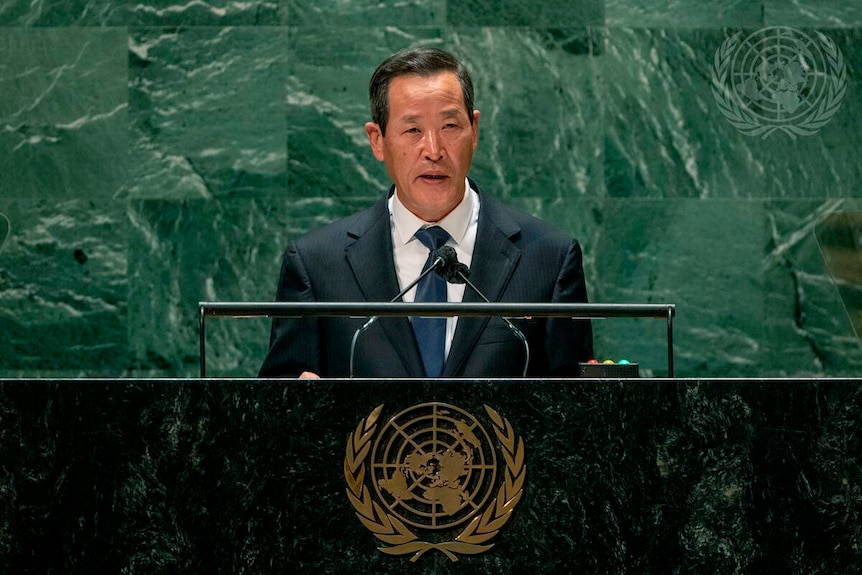 Photo shows man speaking from podium at UN 