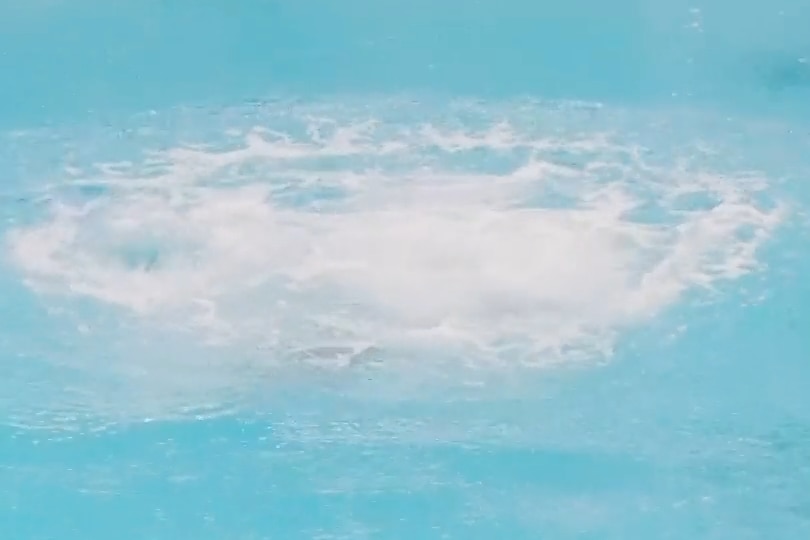 A still image from a video shows the white wash ripple in the water after Nikita's dive