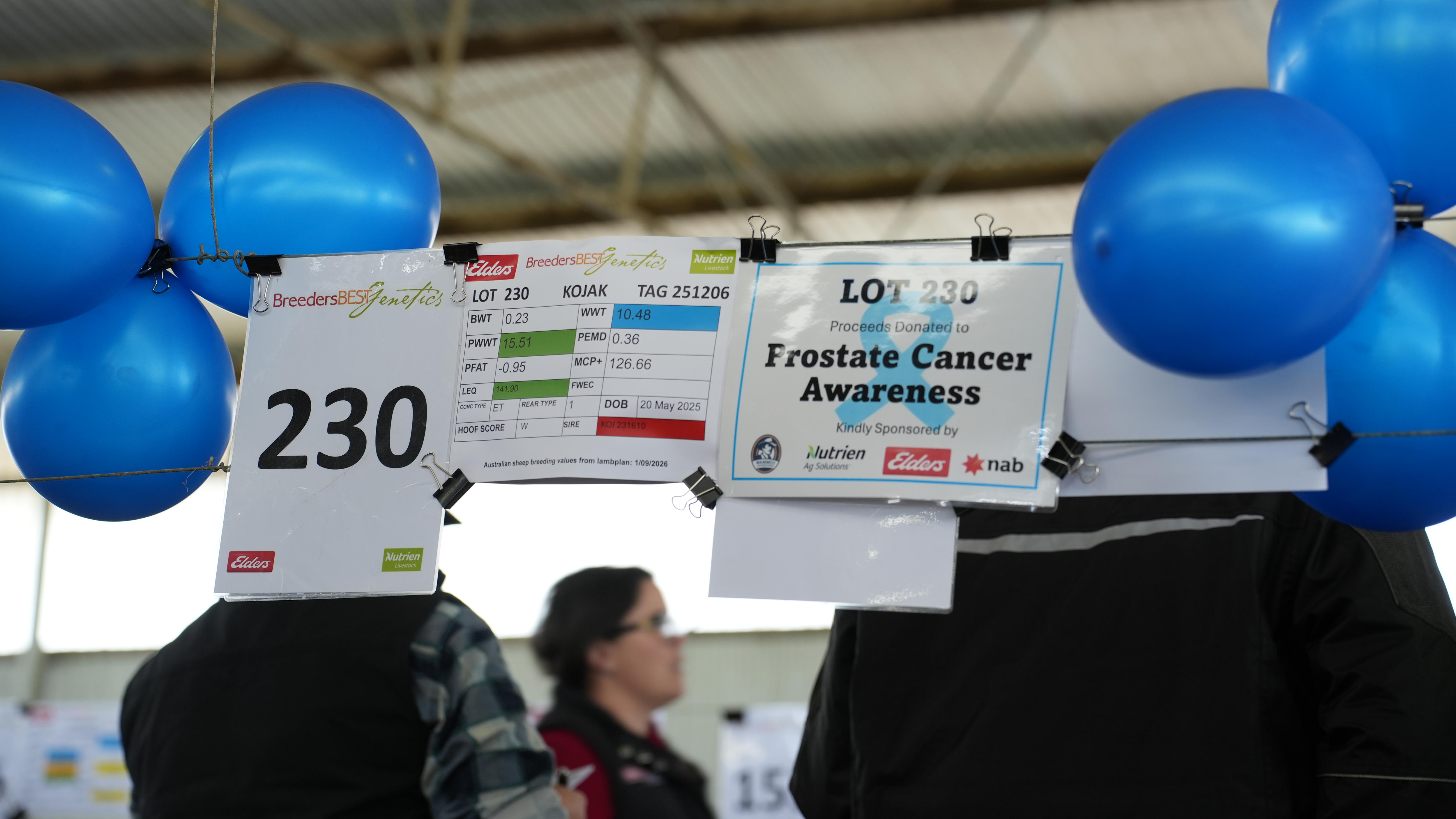blue balloons next to a prostate cancer sign