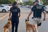 Two security officers walk with guard dogs 