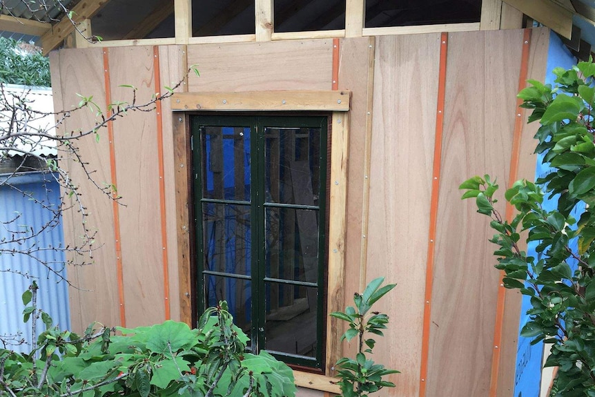 A small, bare wooden unfinished structure, with corrugated iron roof and small French window. Plants sit out front.