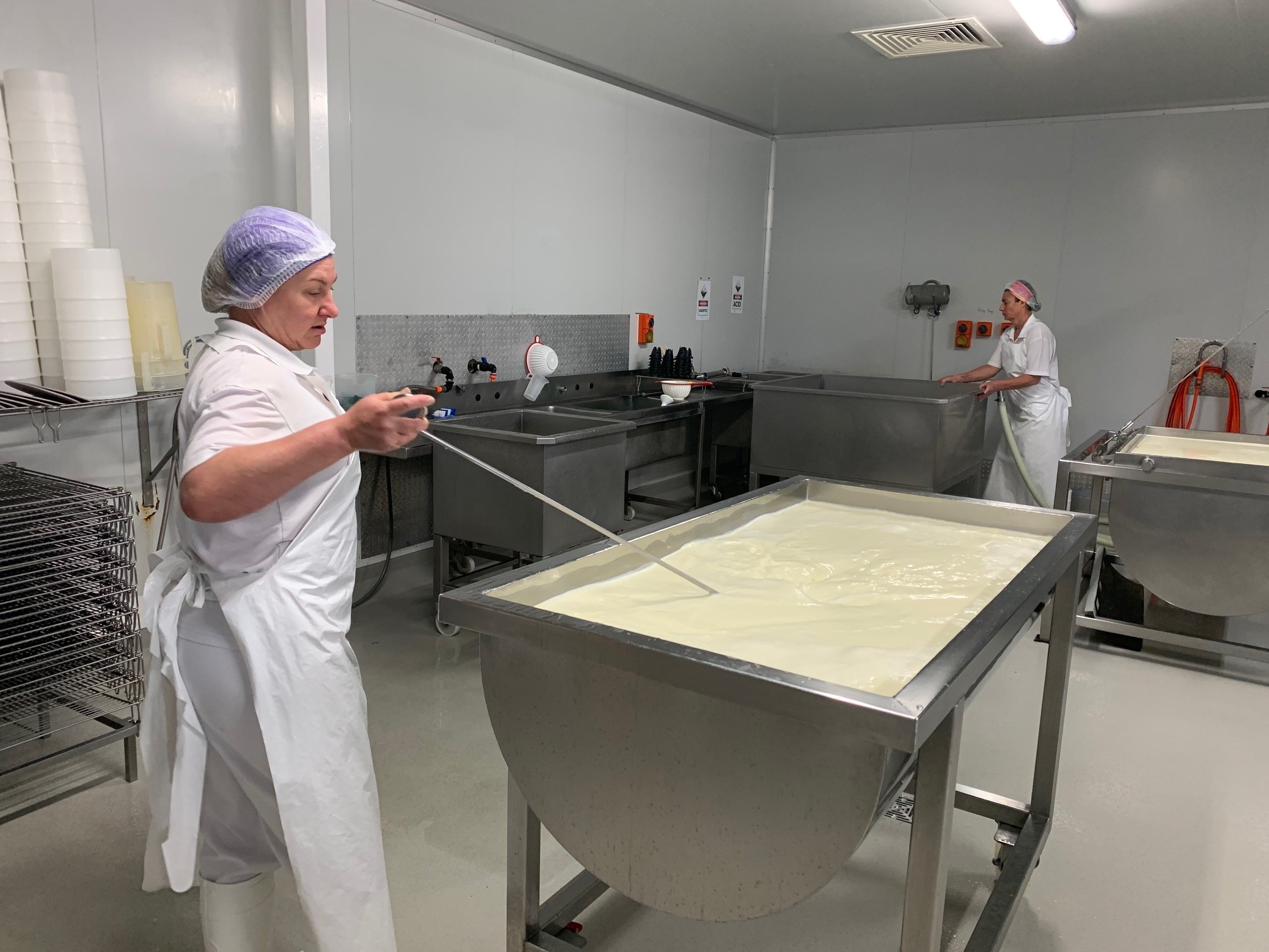 Berrys Creek Gourmet Cheese named supreme artisan at International