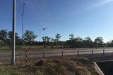 Chopper pilots helped muster 17 cattle that escaped from a truck in Darwin