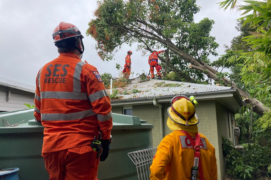 Four SES members trying to remove a tree through a house roof