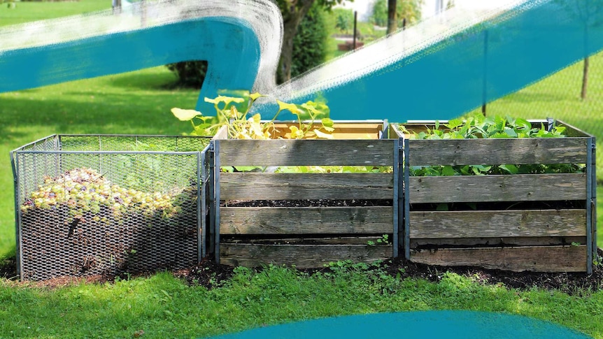 Three crates containing compost and plants sit in a vast green garden.