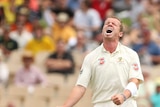 Peter Siddle... building towards the Ashes