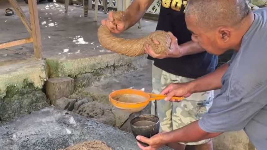 Two men prepare sakau, like kava, by squeezing a root and filtering it through a sieve