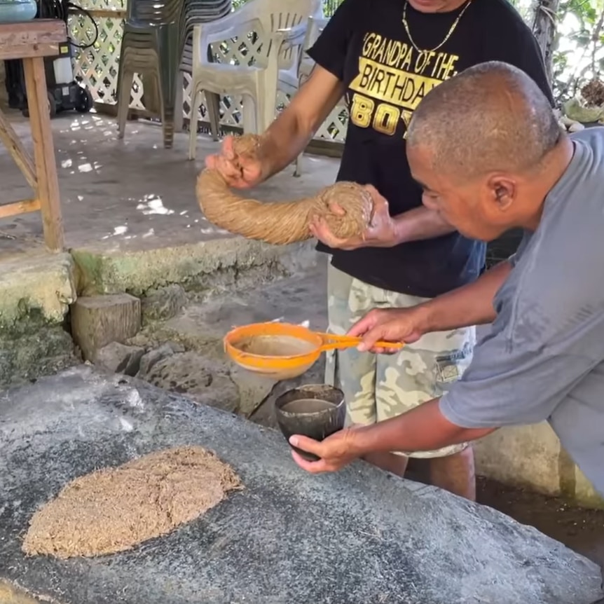 Two men prepare sakau, like kava, by squeezing a root and filtering it through a sieve