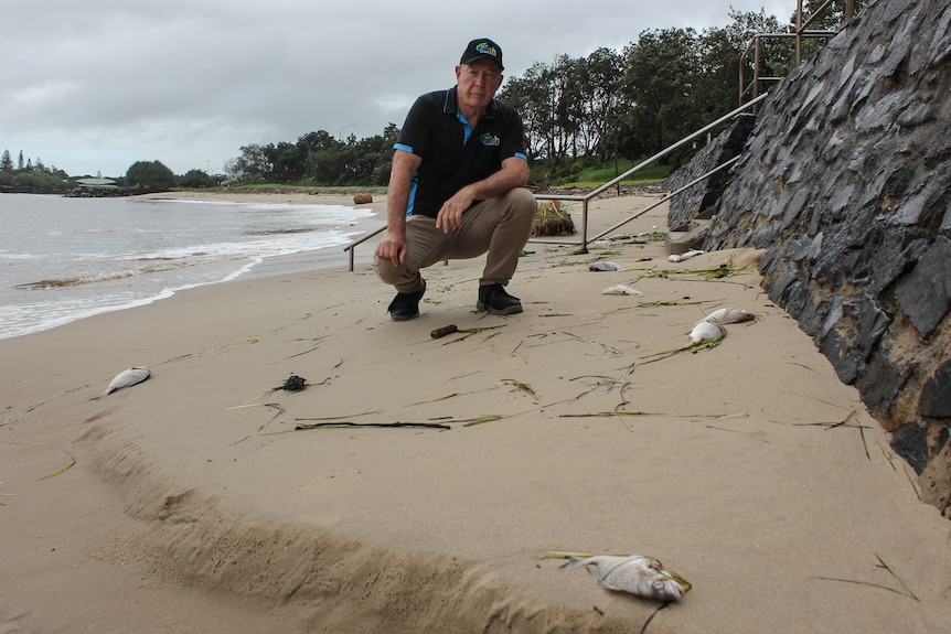 A man crouches down on the beach surrounded by a handful of dead fish. 