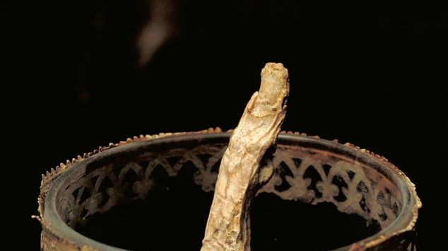 A supplied photo of Galileo's decayed finger