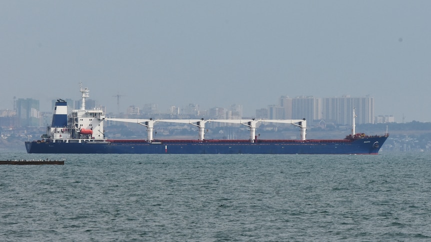 The bulk carrier Razoni in the port of Odesa