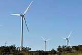 Four wind turbines jut out of a lush green hillside against a blue sky.