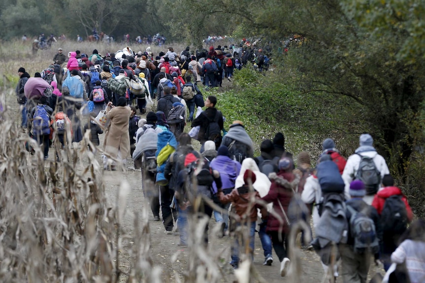 Slovenia struggles with influx of migrants