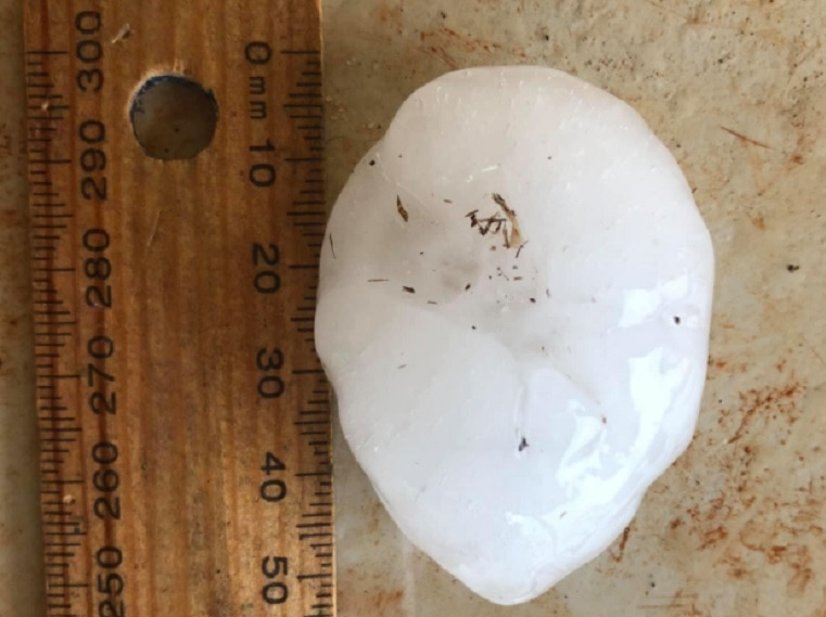 A wooden ruler measuring the length of a large piece of hail