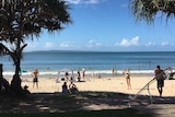 Beach scene on sunny day with pandanus palms at the side of the beach