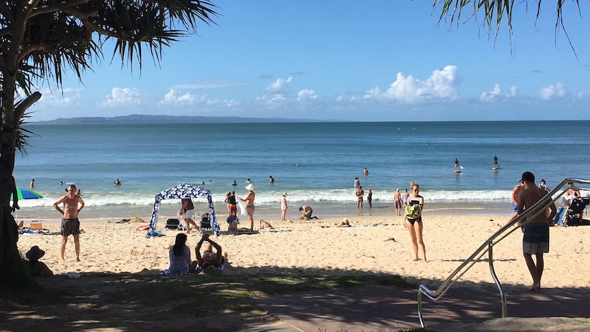 Beach scene on sunny day with pandanus palms at the side of the beach