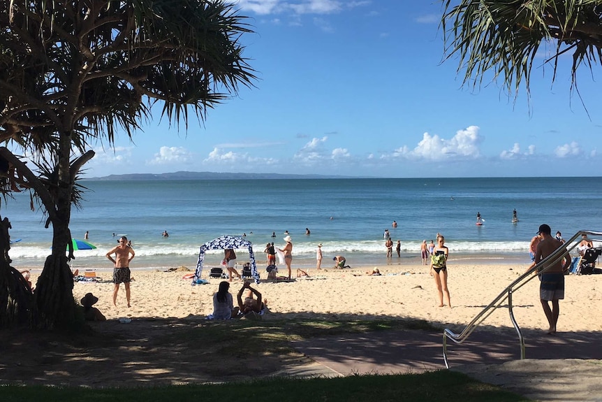 Beach scene on sunny day with pandanus palms at the side of the beach