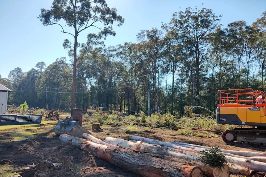 Trees cut down by developer at Woombah Woods Caravan Park.