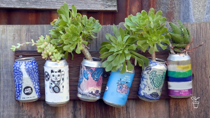 Colourful cans filled with succulent plants attached to timber fence.