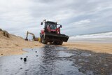 Oil has caked about 60 kilometres of beaches along the coast.