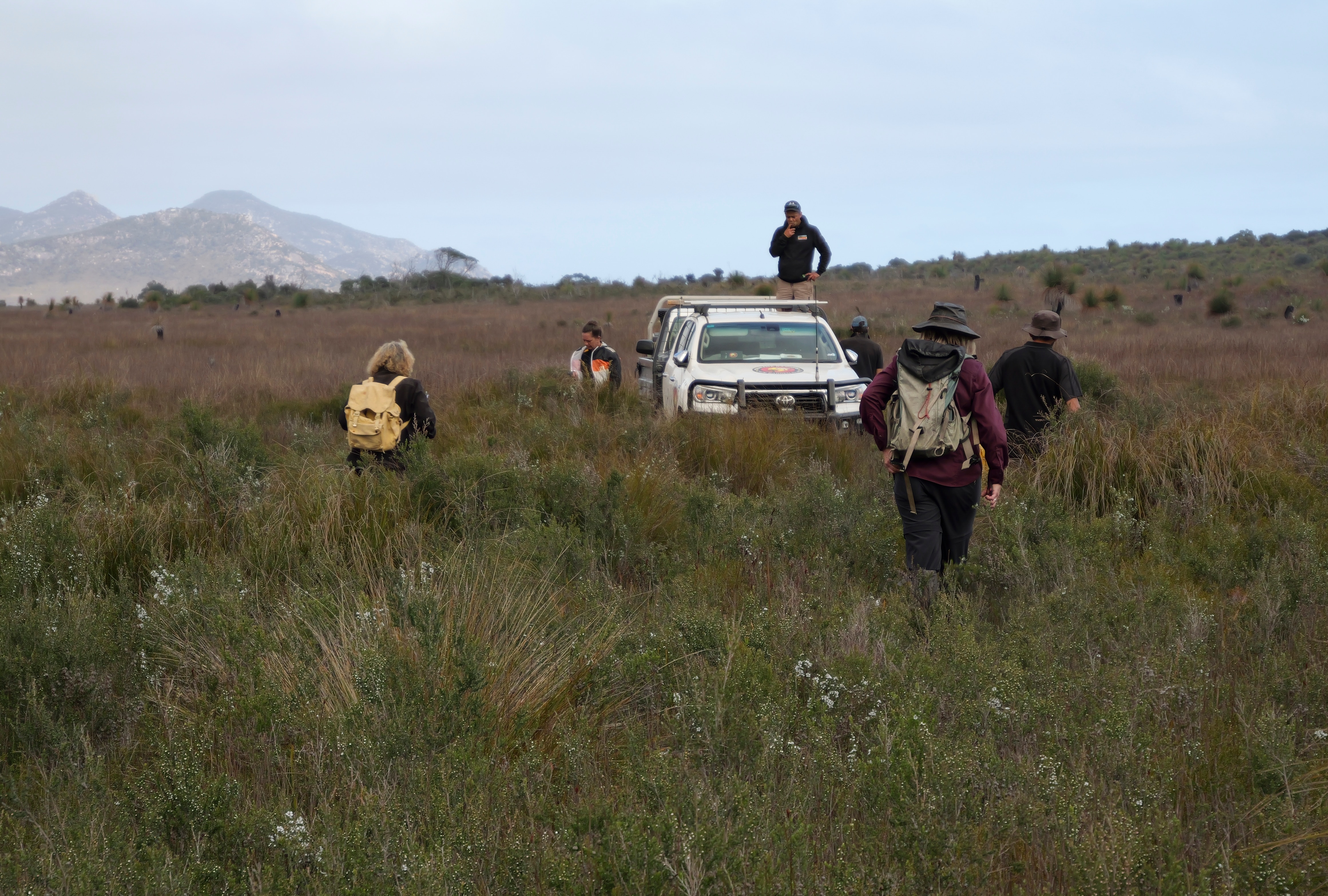 Rangers walk across bushland towards a white car.