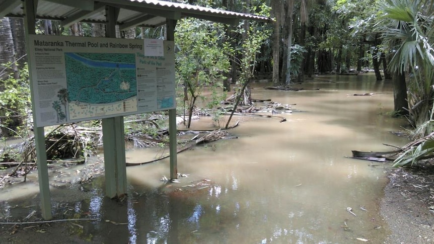 Brown floodwater over the walking track at the entrance of the Mataranka thermal pool