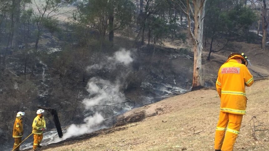 Firefighters stand near a gully that has been blackened by fire.