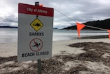 A sign on a beach reads "City of Albany, Sharks, Beach closed" with the beach in the background.
