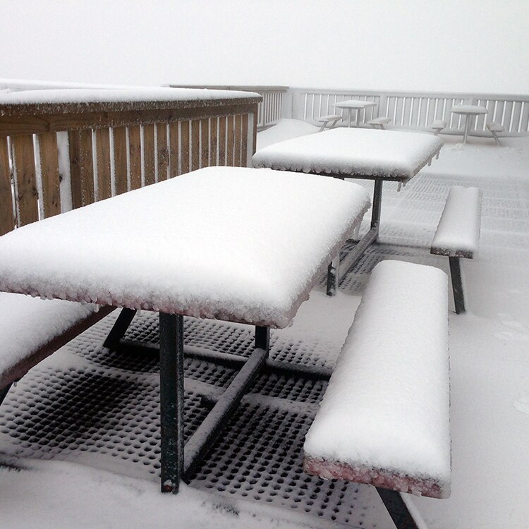 Snow blankets picnic tables