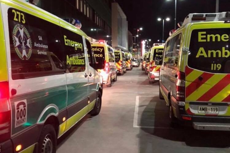 Two lines of ambulances wait outside the Royal Adelaide Hospital.