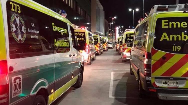 Two lines of ambulances wait outside the Royal Adelaide Hospital.