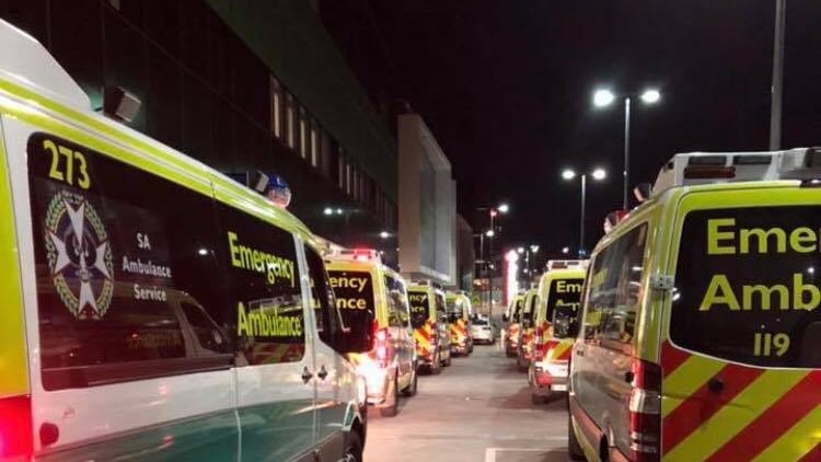 Two lines of ambulances wait outside the Royal Adelaide Hospital.