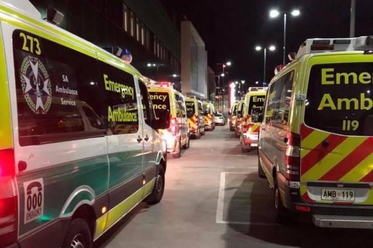 Two lines of ambulances wait outside the Royal Adelaide Hospital.