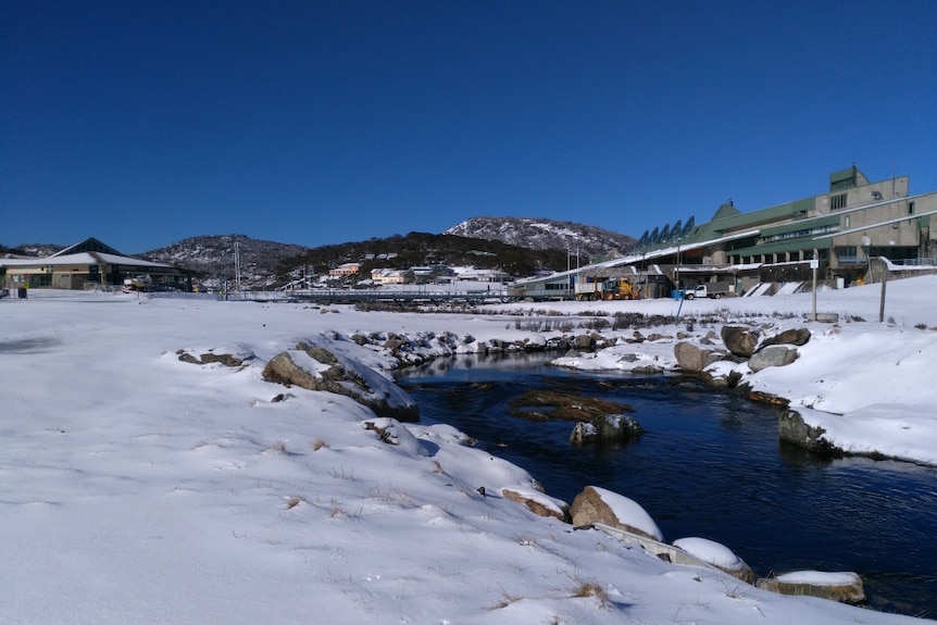 The Colong Foundation for Wilderness says this photo taken on October 20 shows work had not started on time on a chair and interpretive trail at Perisher.