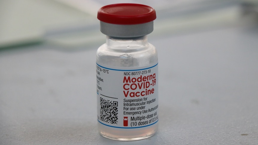 You view a small vaccine vial with clear liquid and a red cap, standing on a white trestle table.