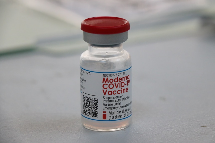 You view a small vaccine vial with clear liquid and a red cap, standing on a white trestle table.