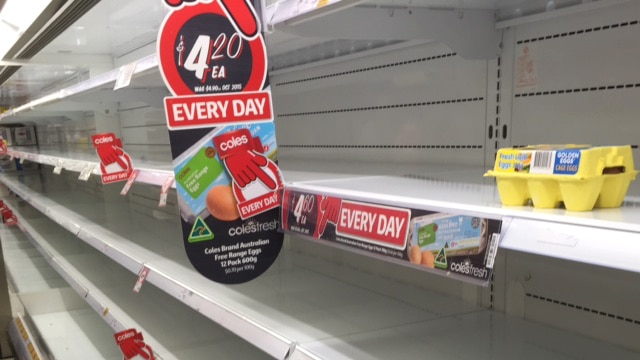 Shelves meant to be stacked with eggs sit bare at a Coles supermarket.