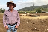 John Mercer standing grimly in front of cattle in a dry paddock.