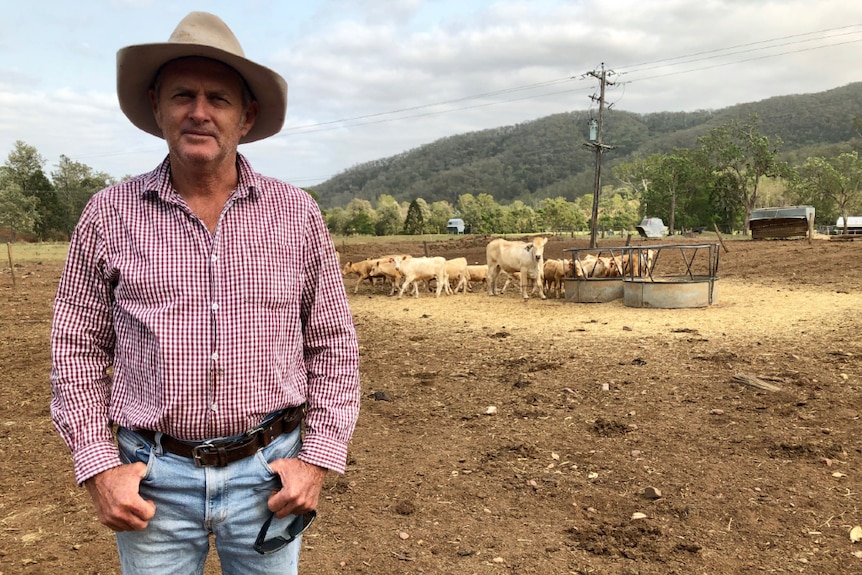 John Mercer standing grimly in front of cattle in a dry paddock.