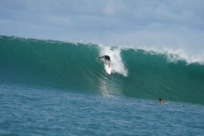 A surfer leans forward and rides down a the barrell of a breaking green wave with white water on the crest.