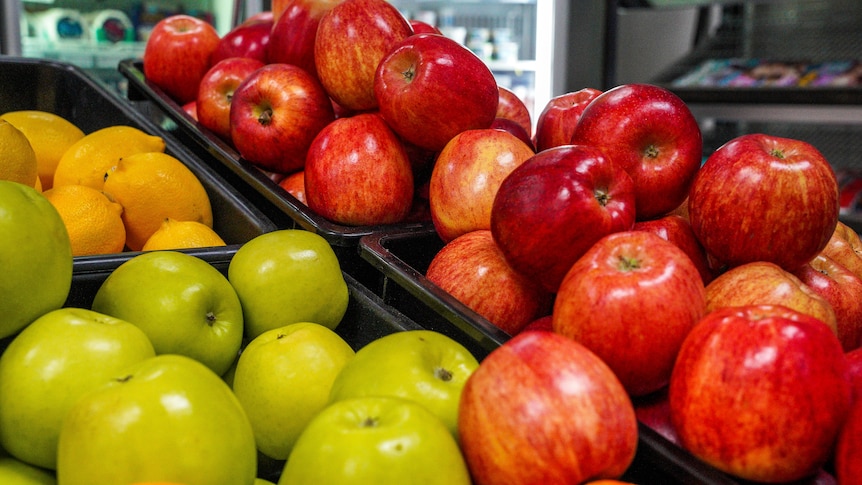 Les prix des pommes ont à peine augmenté depuis des décennies, alors ces agriculteurs ont arraché leurs arbres et sont partis