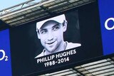 Wallabies pay respects to Phillip Hughes