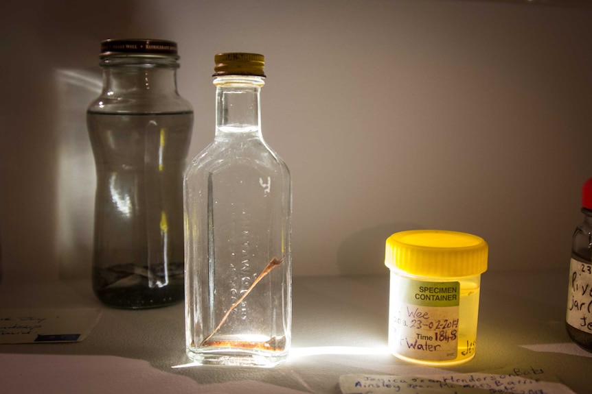 Sea water and a twig from Shoalwater bay, Museum of water